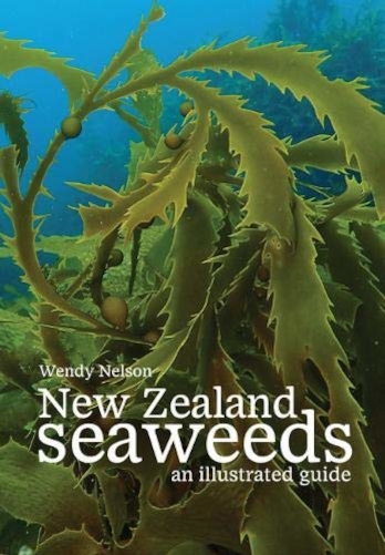 NEW ZEALAND SEAWEEDS. AN ILLUSTRATED GUIDE