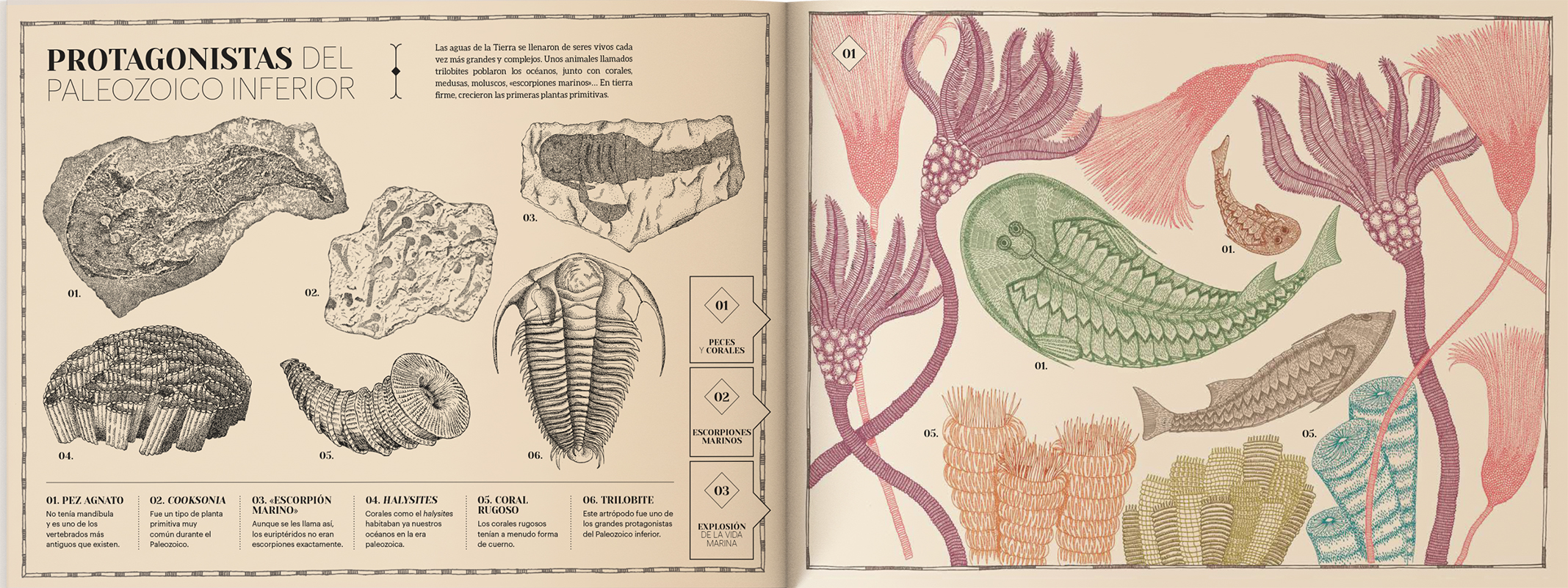 PAISAJES PERDIDOS DE LA TIERRA 4