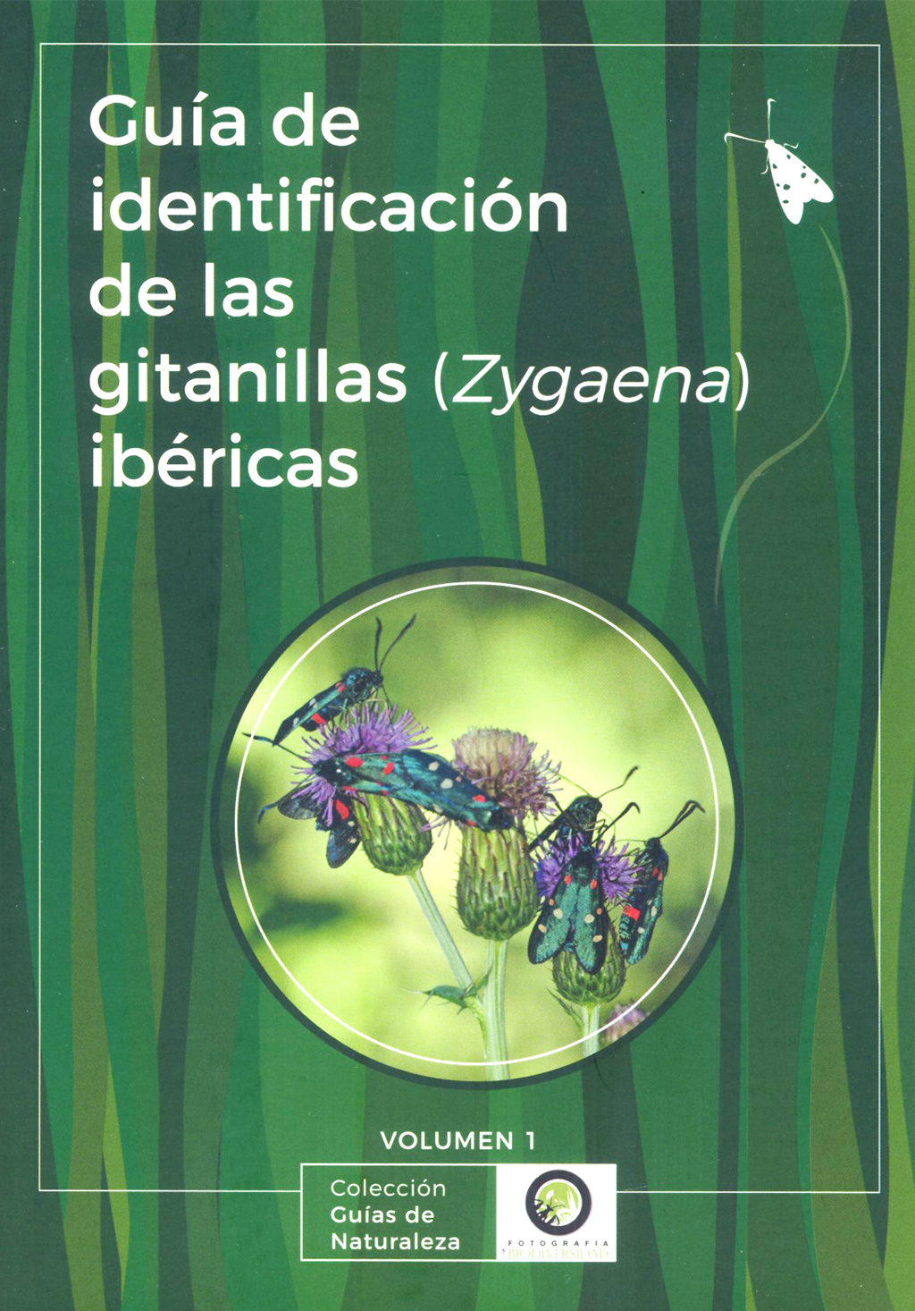 GUÍA DE IDENTIFICACIÓN DE LAS GITANILLAS IBÉRICAS (ZYGAENA) 1