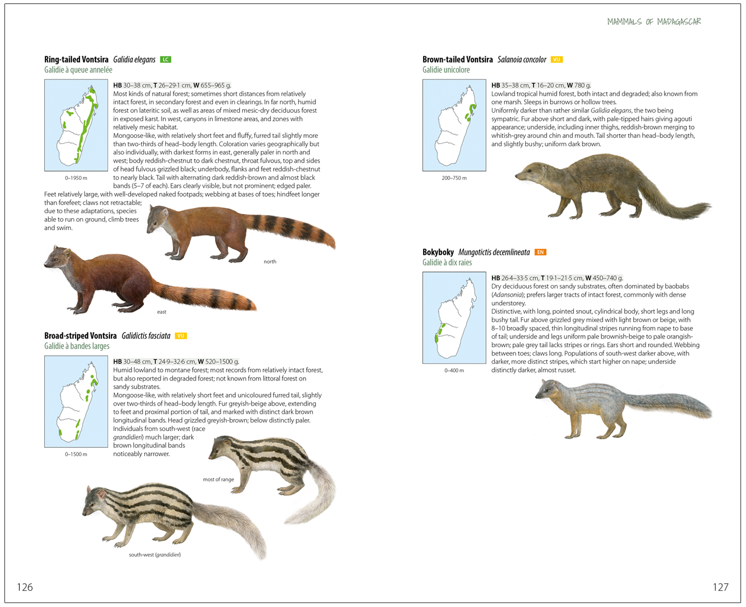 MAMMALS OF MADAGASCAR 5