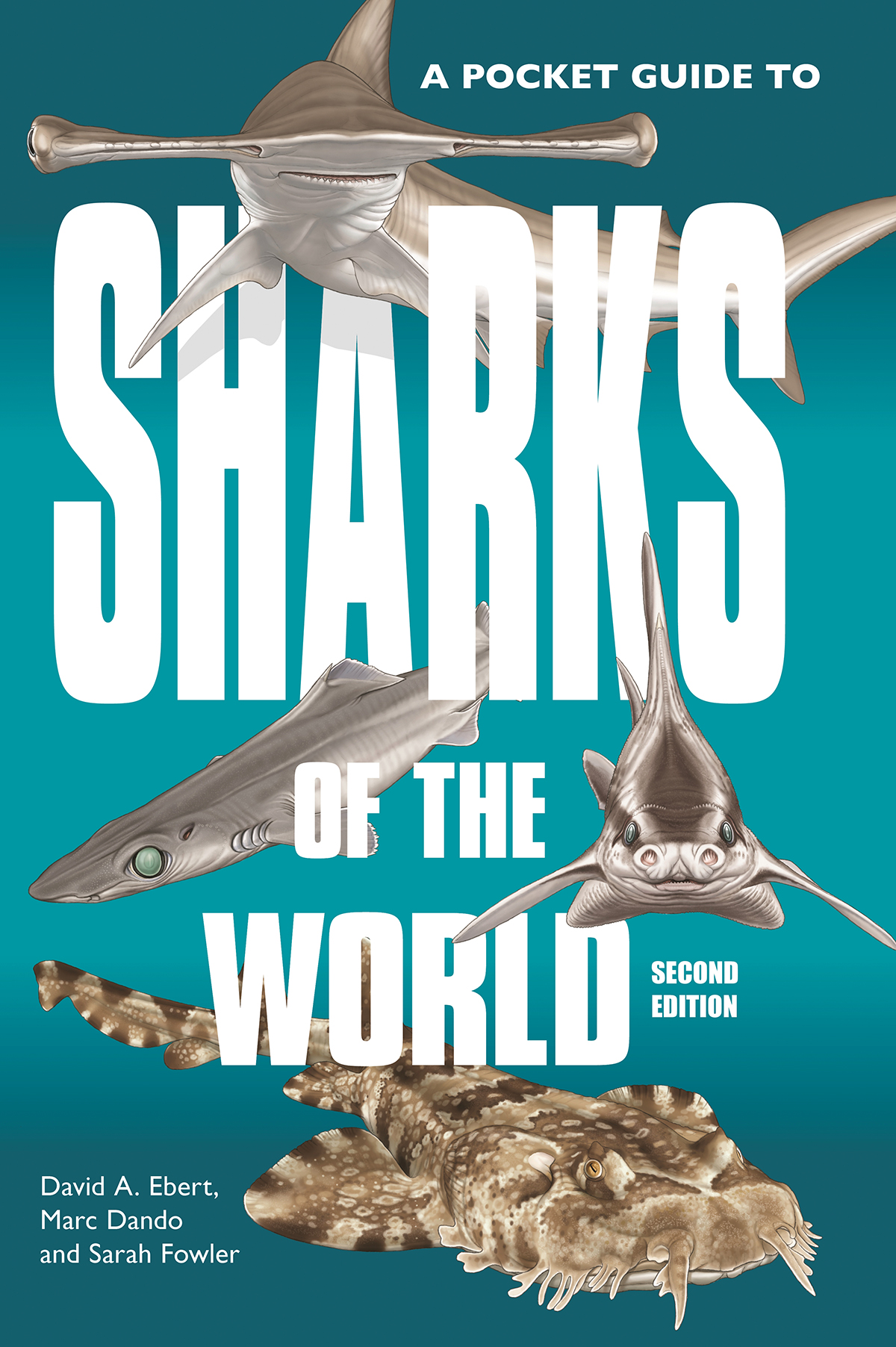 A POCKET GUIDE TO SHARKS OF THE WORLD