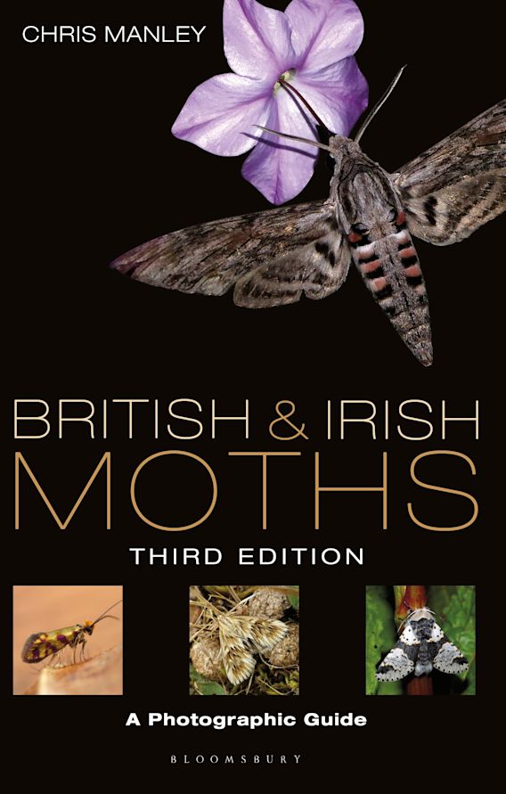BRITISH & IRISH MOTHS. A PHOTOGRAPHIC GUIDE