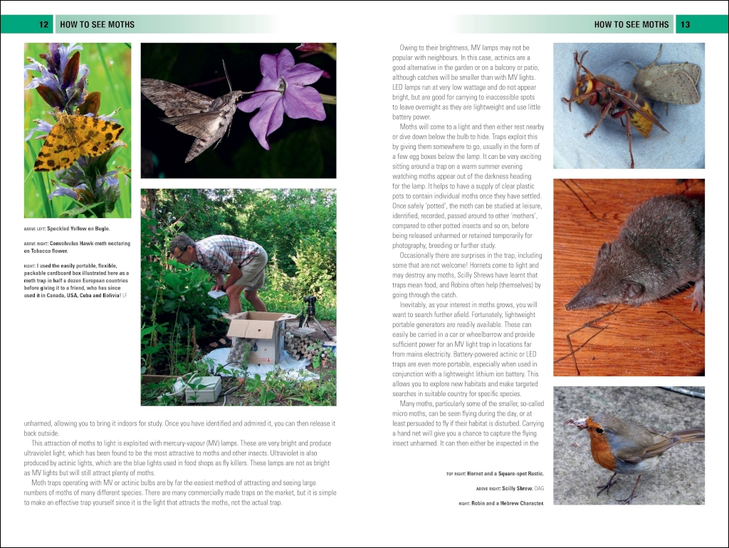 BRITISH &AMP; IRISH MOTHS. A PHOTOGRAPHIC GUIDE 2
