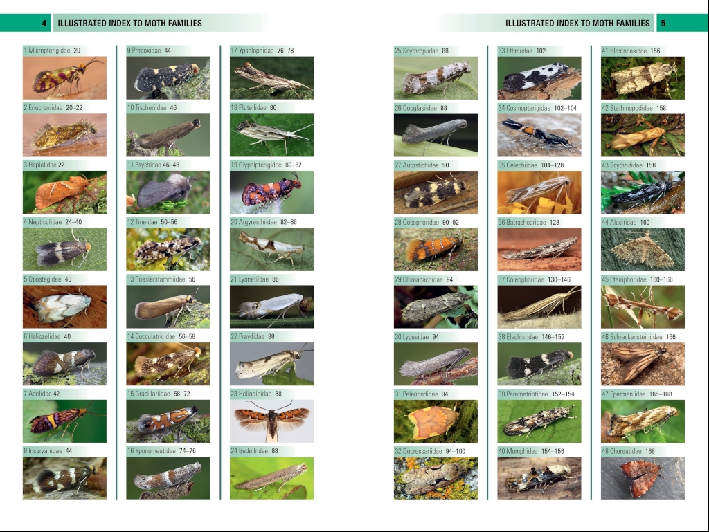 BRITISH &AMP; IRISH MOTHS. A PHOTOGRAPHIC GUIDE 3