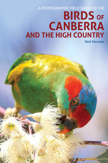 A PHOTOGRAPHIC FIELD GUIDE TO THE BIRDS OF CANBERRA AND THE HIGH COUNTRY