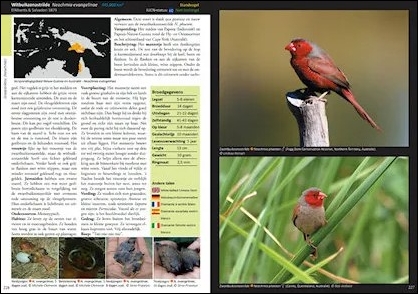ESTRILDID FINCHES OF THE WORLD. A PHOTOGRAPHIC, DESCRIPTIVE AND FACTUAL GUIDE TO ALL 34 GENERA OF ESTRILDIDAE INCLUDING VAXBILLS. SEEDCRACKERS, NIGRIT 2