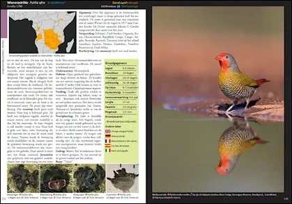 ESTRILDID FINCHES OF THE WORLD. A PHOTOGRAPHIC, DESCRIPTIVE AND FACTUAL GUIDE TO ALL 34 GENERA OF ESTRILDIDAE INCLUDING VAXBILLS. SEEDCRACKERS, NIGRIT 3
