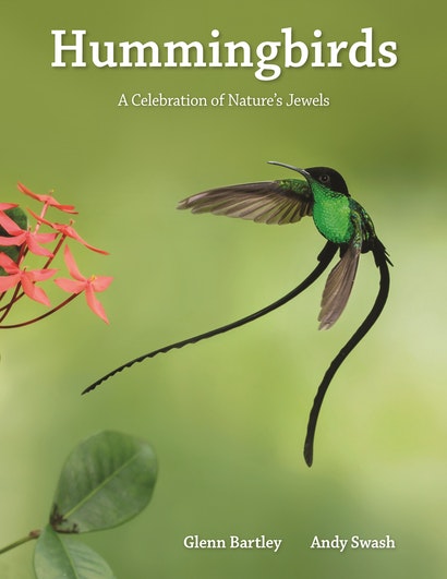 HUMMINGBIRDS. A CELEBRATION OF NATURE'S JEWELS 1
