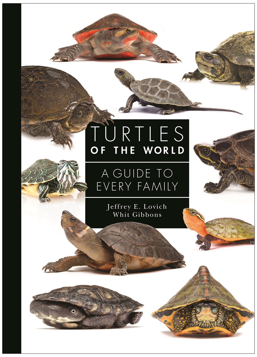 TURTLES OF THE WORLD. A GUIDE TO EVERY FAMILY 1