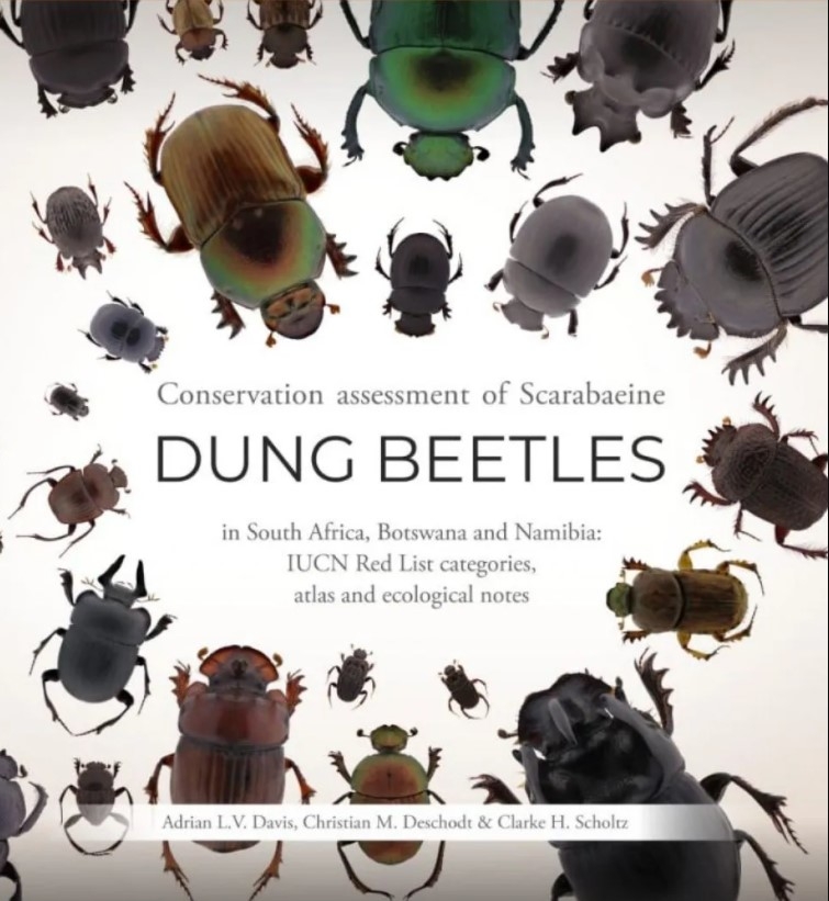 CONSERVATION ASSESSMENT OF SCARABAEINE DUNG BEETLES IN SOUTH AFRICA, BOTSWANA AND NAMIBIA
