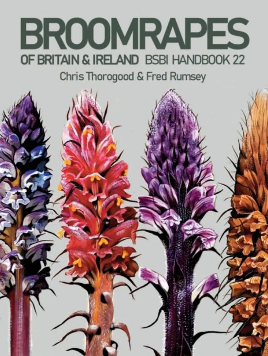 BROOMRAPES OF BRITAIN & IRELAND