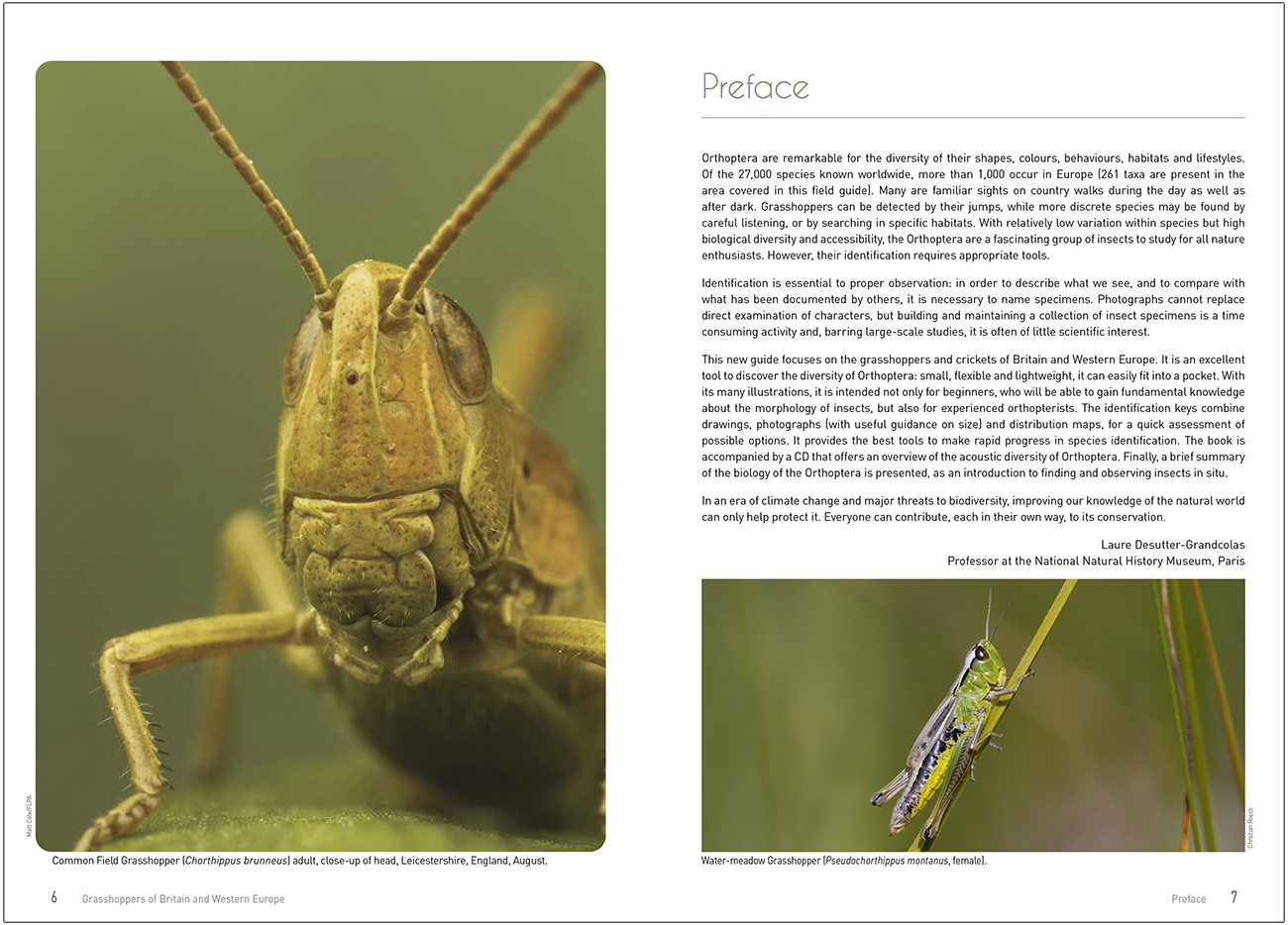 GRASSHOPPERS OF BRITAIN AND WESTERN EUROPE. A PHOTOGRAPHIC GUIDE 2