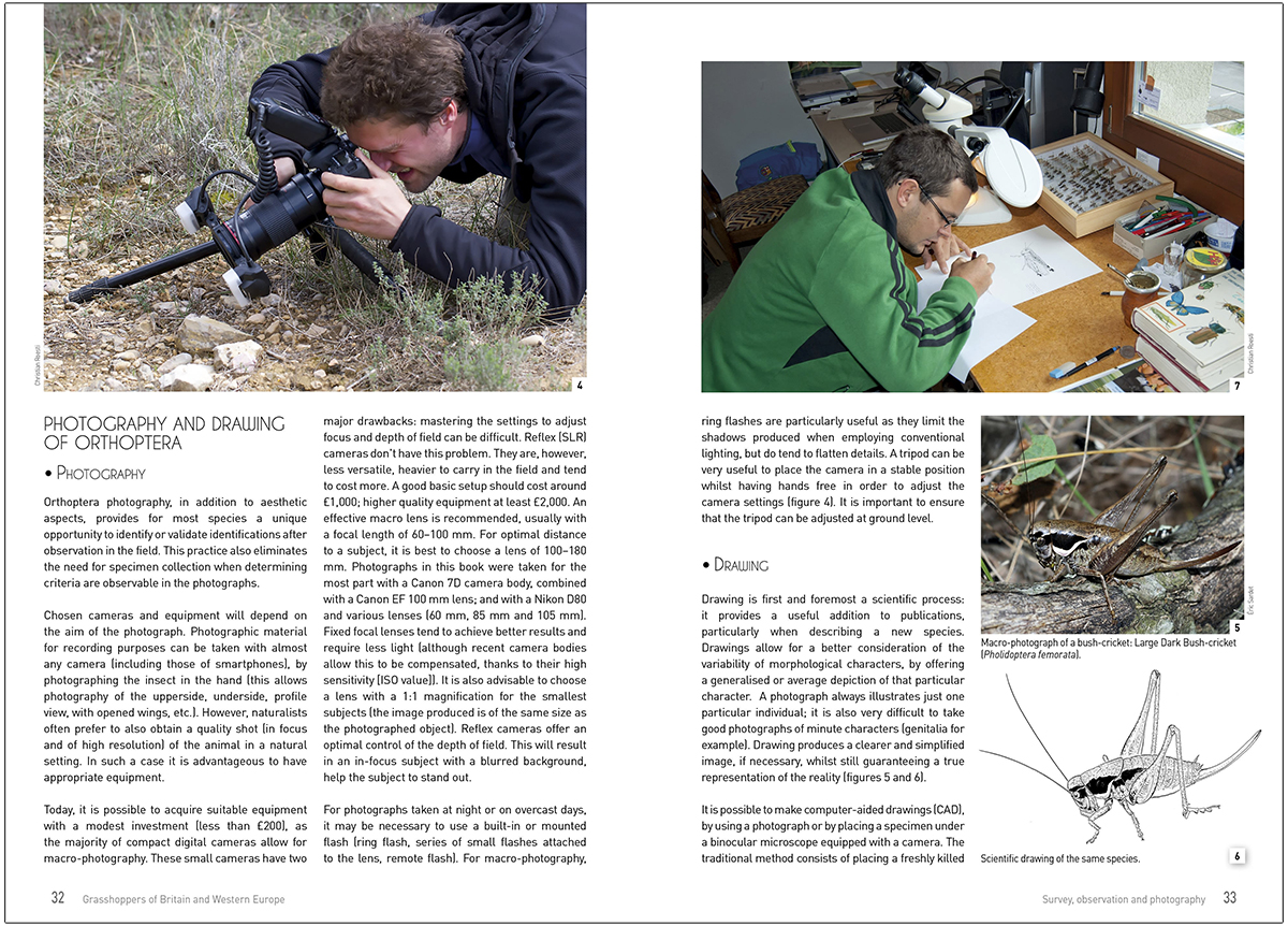 GRASSHOPPERS OF BRITAIN AND WESTERN EUROPE. A PHOTOGRAPHIC GUIDE 3