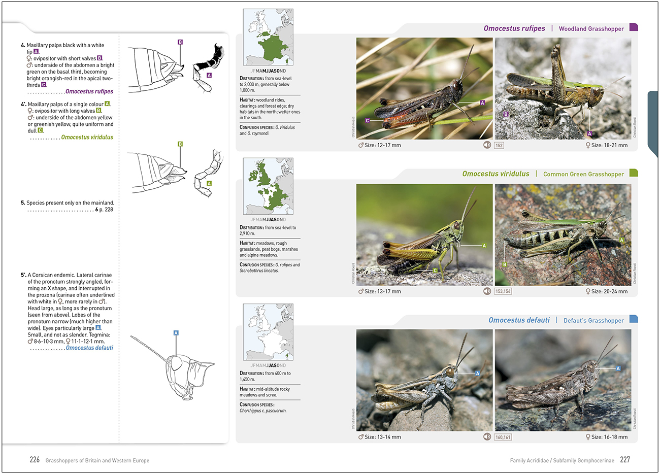 GRASSHOPPERS OF BRITAIN AND WESTERN EUROPE. A PHOTOGRAPHIC GUIDE 6