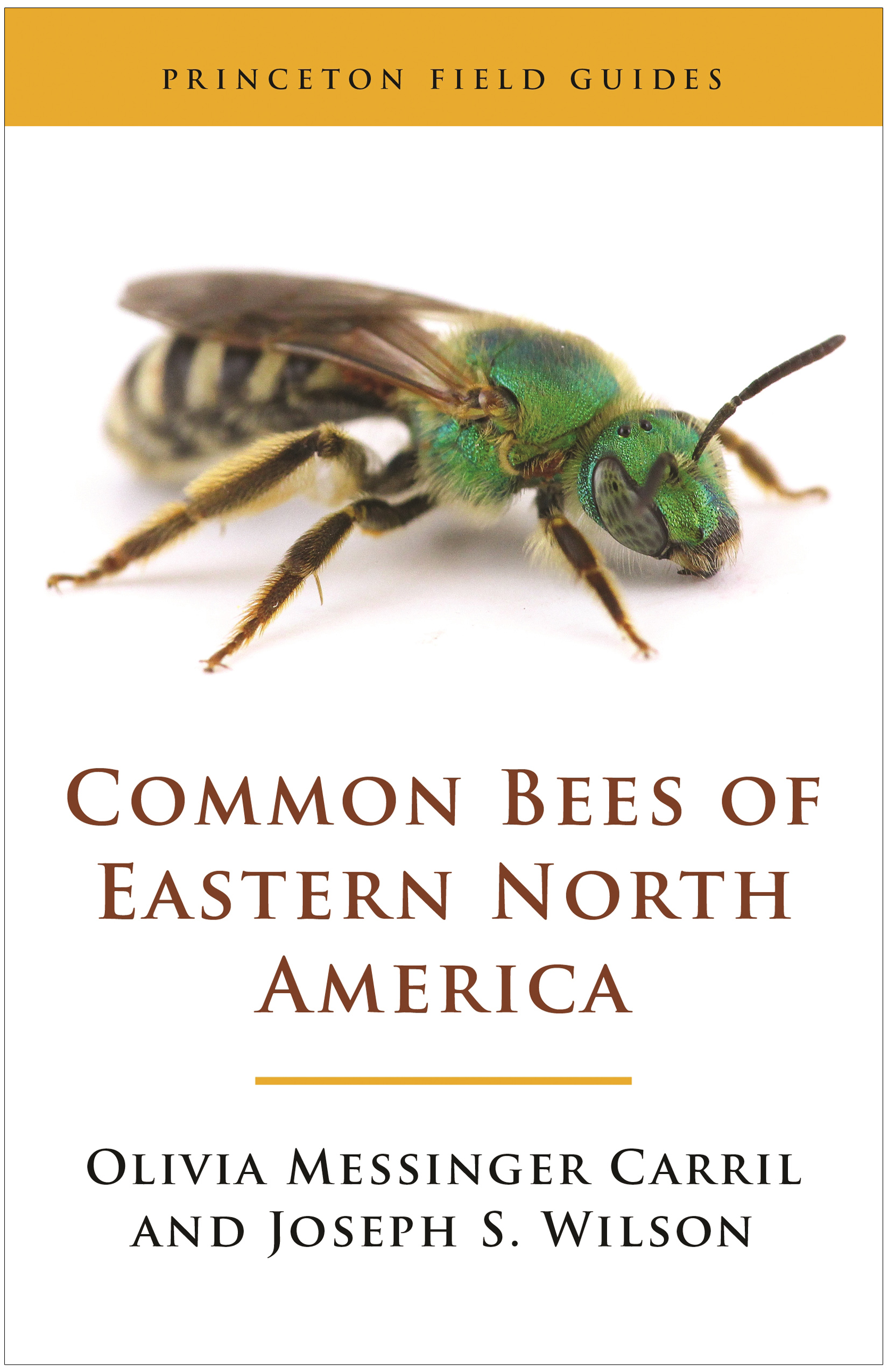 PRINCETON FIELD GUIDES COMMON BEES OF EASTERN NORTH AMERICA