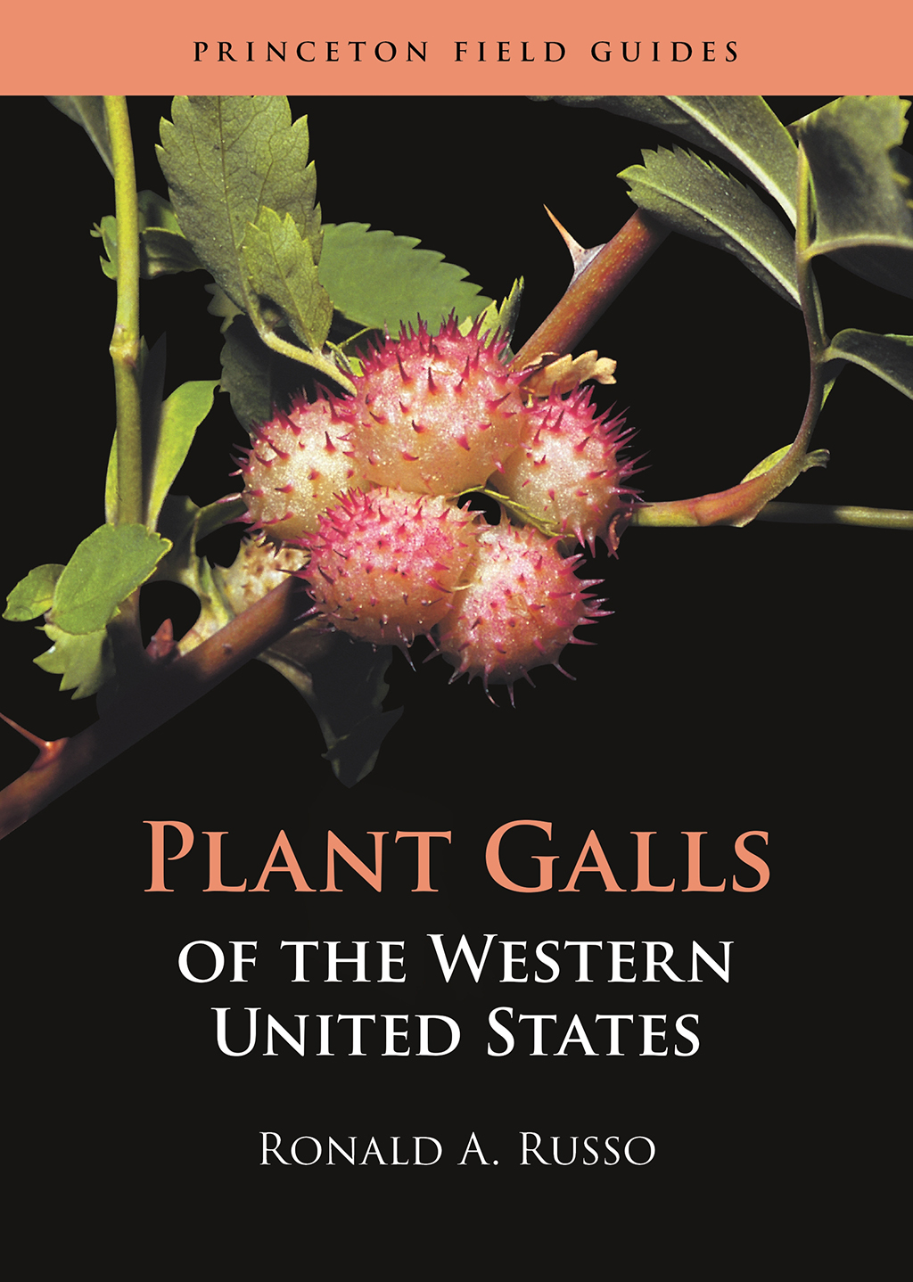 PRINCETON FIELD GUIDES PLANT GALLS OF THE WESTERN UNITED STATES