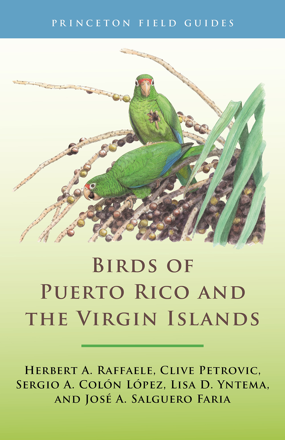 PRINCETON FIELD GUIDES BIRDS OF PUERTO RICO AND THE VIRGIN ISLANDS 1