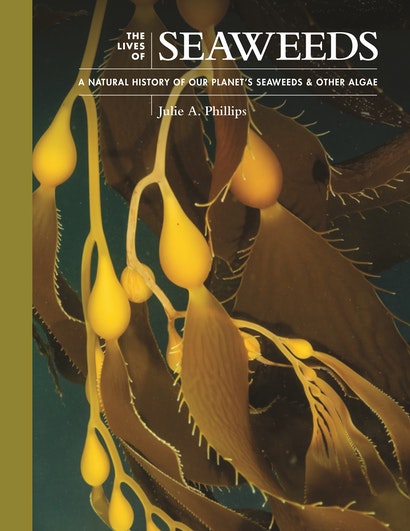 THE LIVES OF SEAWEEDS: A NATURAL HISTORY OF OUR PLANET'S SEAWEEDS AND OTHER ALGAE