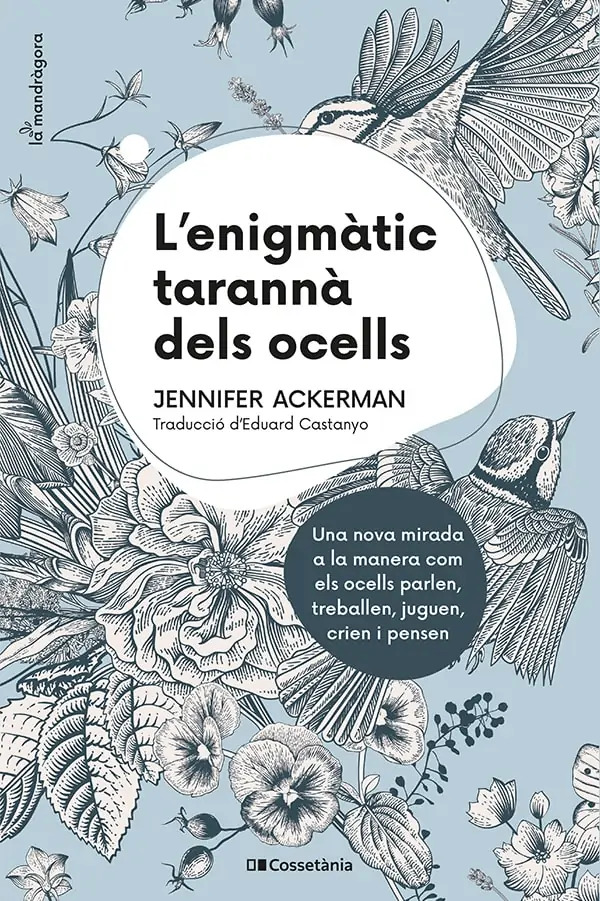 L\'ENIGMÀTIC TARANNÀ DELS OCELLS 1