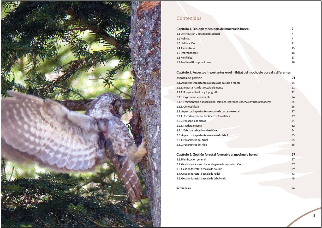 MANUAL PARA LA GESTIÓN DEL HÁBITAT DEL MOCHUELO BOREAL 2