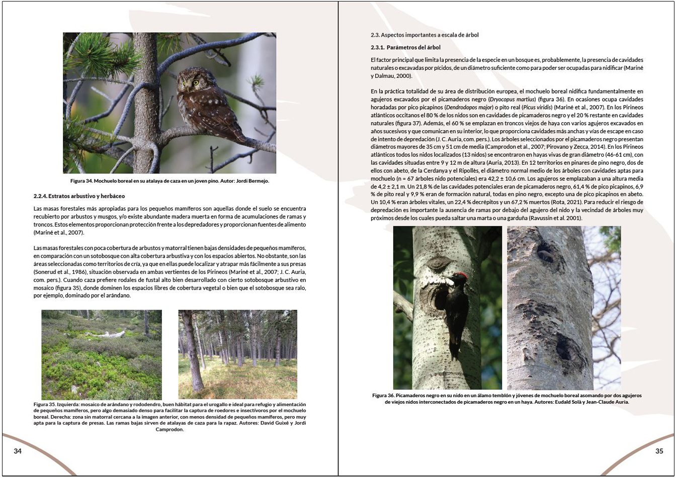 MANUAL PARA LA GESTIÓN DEL HÁBITAT DEL MOCHUELO BOREAL 4