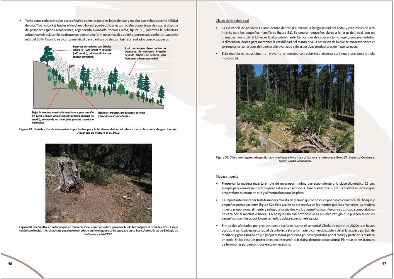 MANUAL PARA LA GESTIÓN DEL HÁBITAT DEL MOCHUELO BOREAL 5