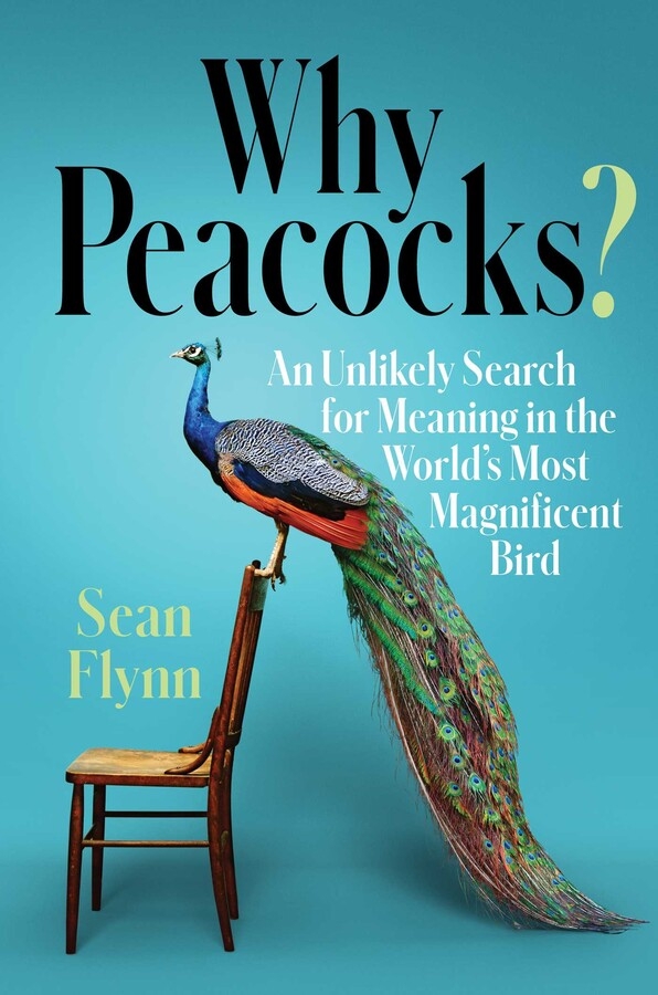 WHY PEACOCKS? AN UNLIKELY SEARCH FOR MEANING IN THE WORLD'S MOST MAGNIFICENT BIRD 1