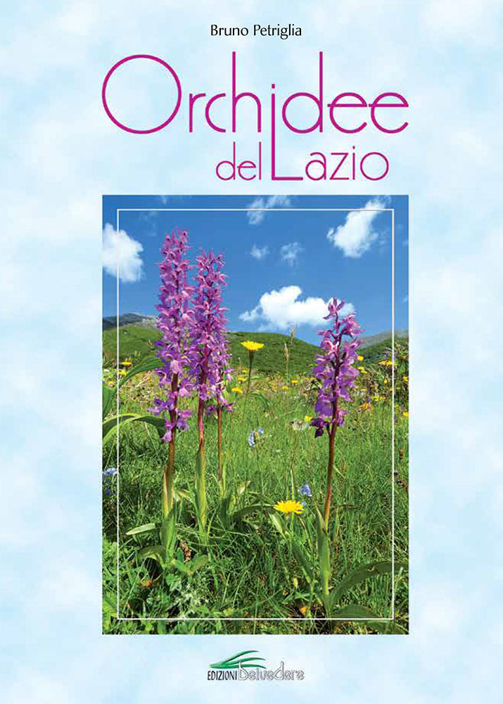 ORCHIDEE DEL LAZIO 1