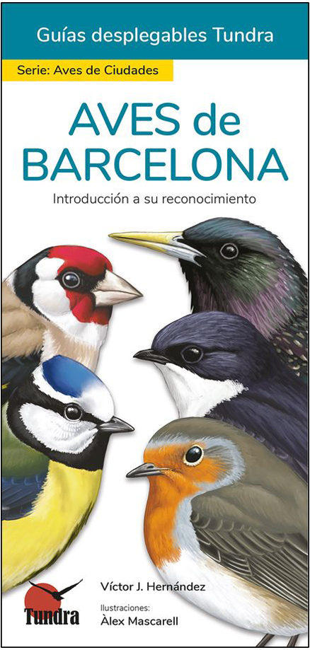AVES DE BARCELONA. INTRODUCCIÓN A SU RECONOCIMIENTO. GUÍAS DESPLEGABLES TUNDRA
