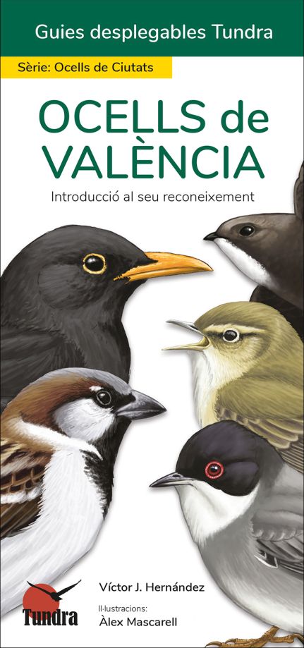 OCELLS DE VALÈNCIA. INTRODUCCIÓ AL SEU RECONEIXEMENT. GUIES DESPLEGABLES TUNDRA 1
