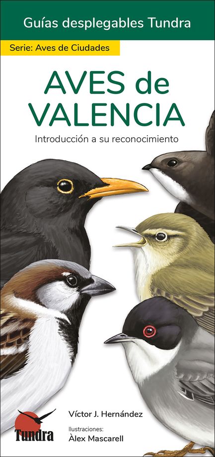 AVES DE VALENCIA. INTRODUCCIÓN A SU RECONOCIMIENTO. GUÍAS DESPLEGABLES TUNDRA