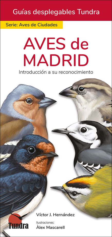AVES DE MADRID. INTRODUCCIÓN A SU RECONOCIMIENTO. GUÍAS DESPLEGABLES TUNDRA