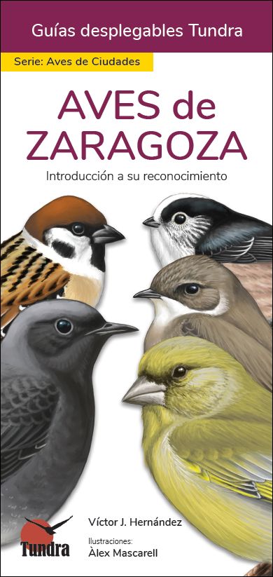 AVES DE ZARAGOZA. INTRODUCCIÓN A SU RECONOCIMIENTO. GUÍAS DESPLEGABLES TUNDRA