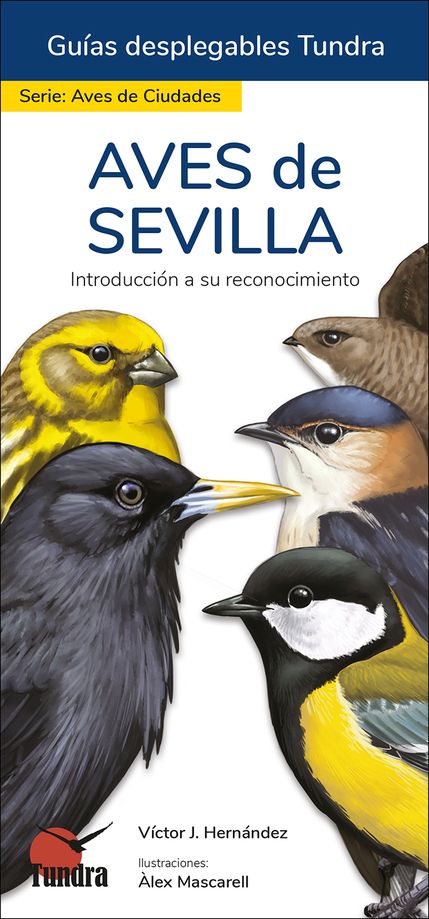 AVES DE SEVILLA. INTRODUCCIÓN A SU RECONOCIMIENTO. GUÍAS DESPLEGABLES TUNDRA