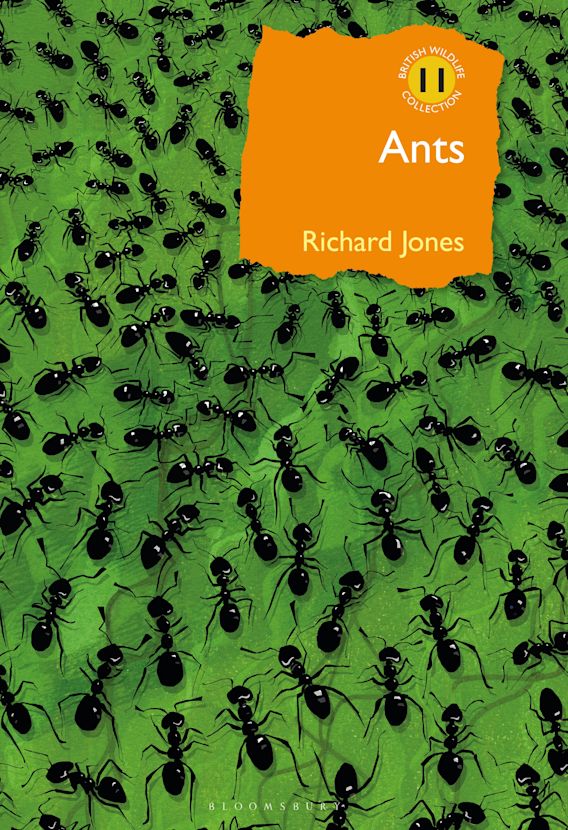 ANTS. THE ULTIMATE SOCIAL INSECTS