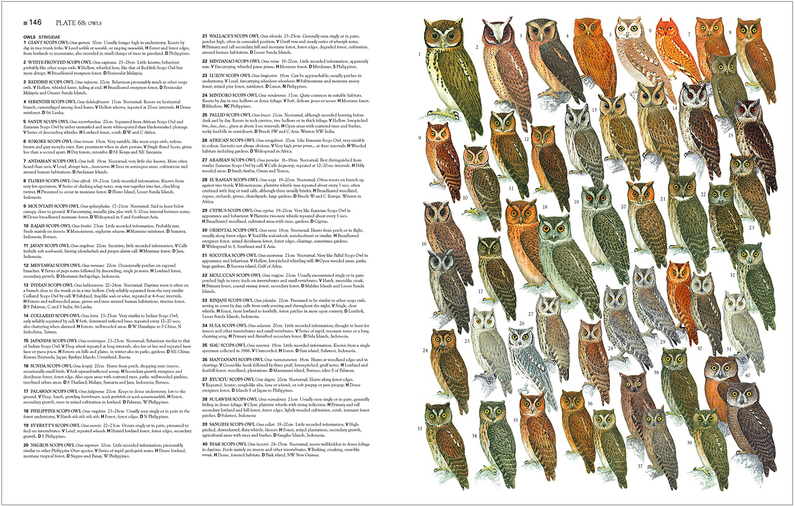 COLLINS BIRDS OF THE WORLD. ALL 10.711 SPECIES ILLUSTRATED 2