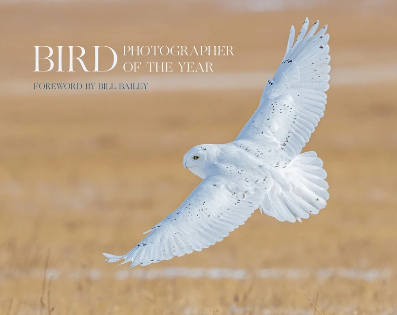 BIRD PHOTOGRAPHER OF THE YEAR. COLLECTION 6