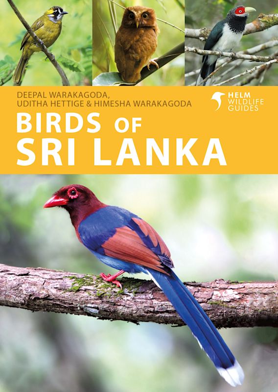 HELM WILDLIFE GUIDES. BIRDS OF SRI LANKA