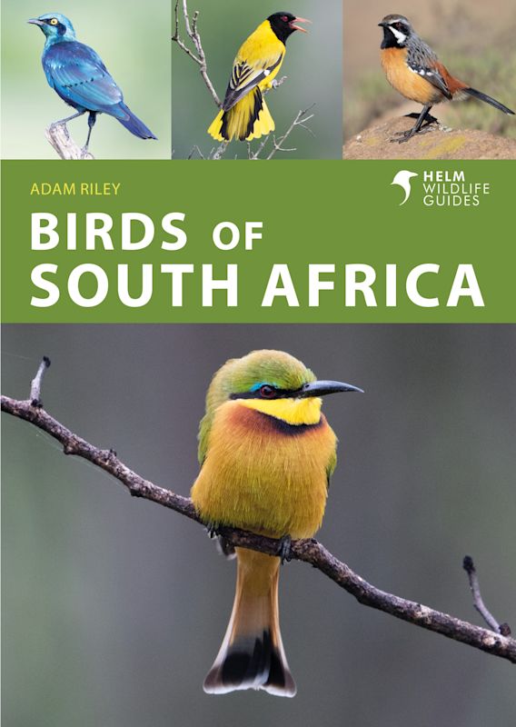 HELM WILDLIFE GUIDES. BIRDS OF SOUTH AFRICA