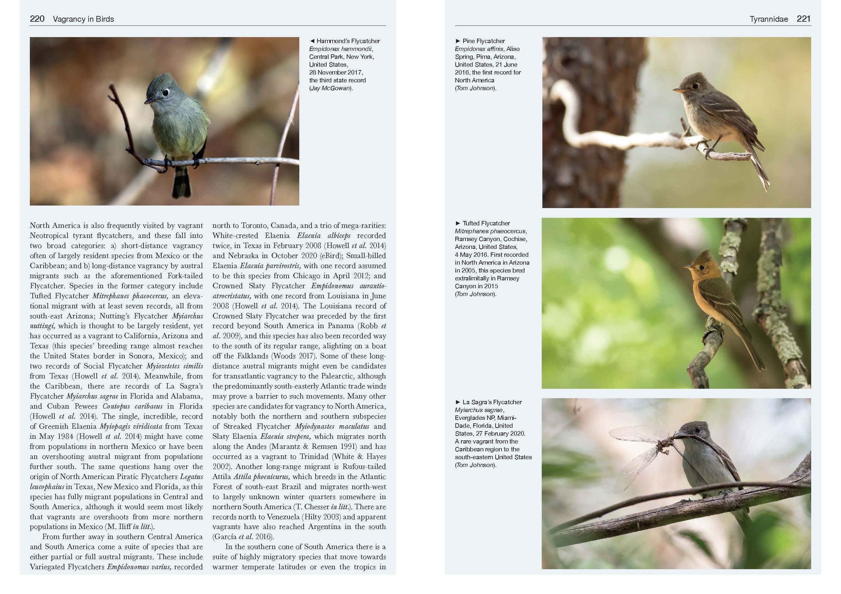 VAGRANCY IN BIRDS 5