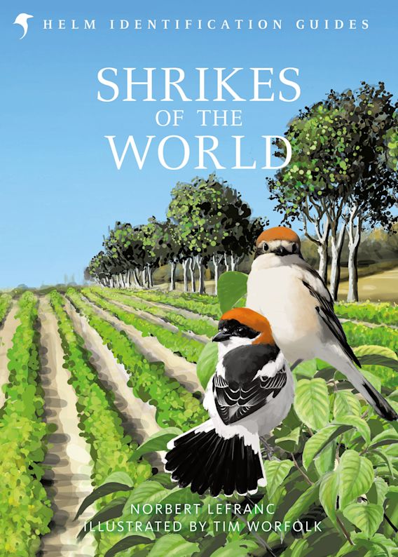 HELM IDENTIFICATION GUIDES. SHRIKES OF THE WORLD