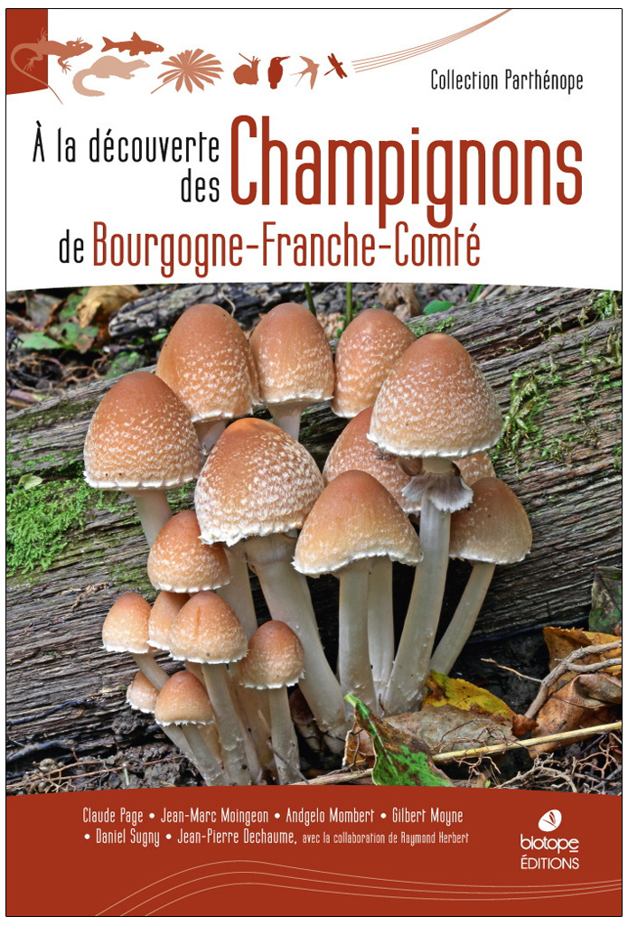 A LA DÉCOUVERTE DES CHAMPIGNONS DE BOURGOGNE-FRANCHE-COMTÉ 1