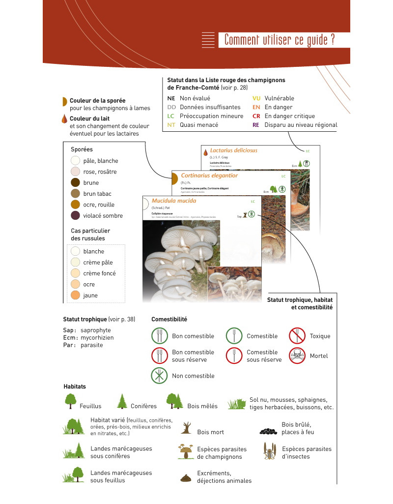 A LA DÉCOUVERTE DES CHAMPIGNONS DE BOURGOGNE-FRANCHE-COMTÉ 2