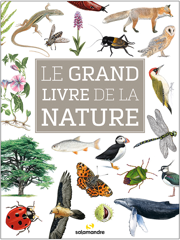 LE GRAND LIVRE DE LA NATURE