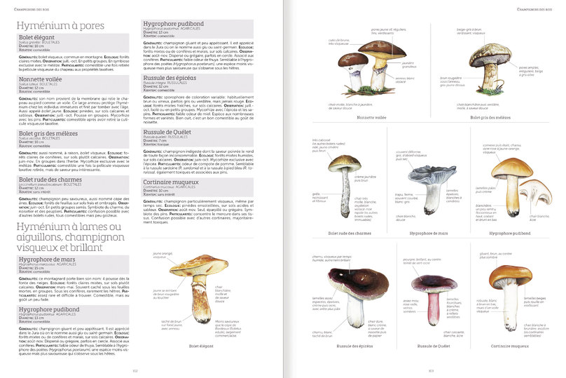LE GRAND LIVRE DE LA NATURE 2
