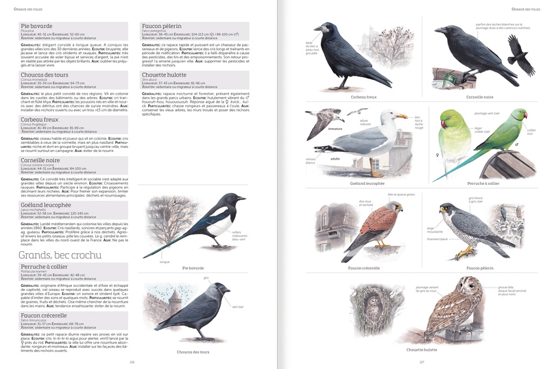 LE GRAND LIVRE DE LA NATURE 3