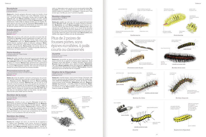 LE GRAND LIVRE DE LA NATURE 4