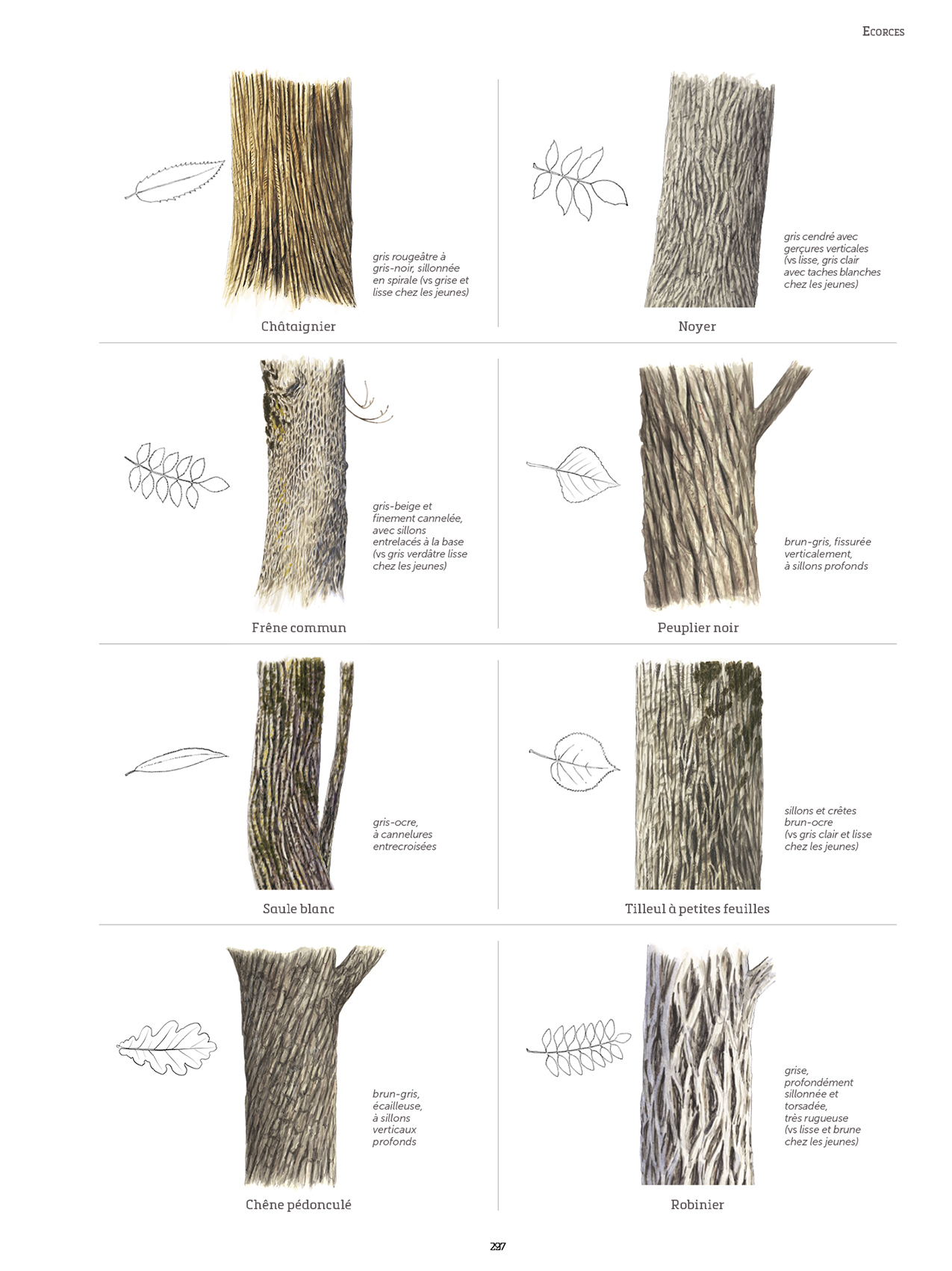 LE GRAND LIVRE DE LA NATURE 5