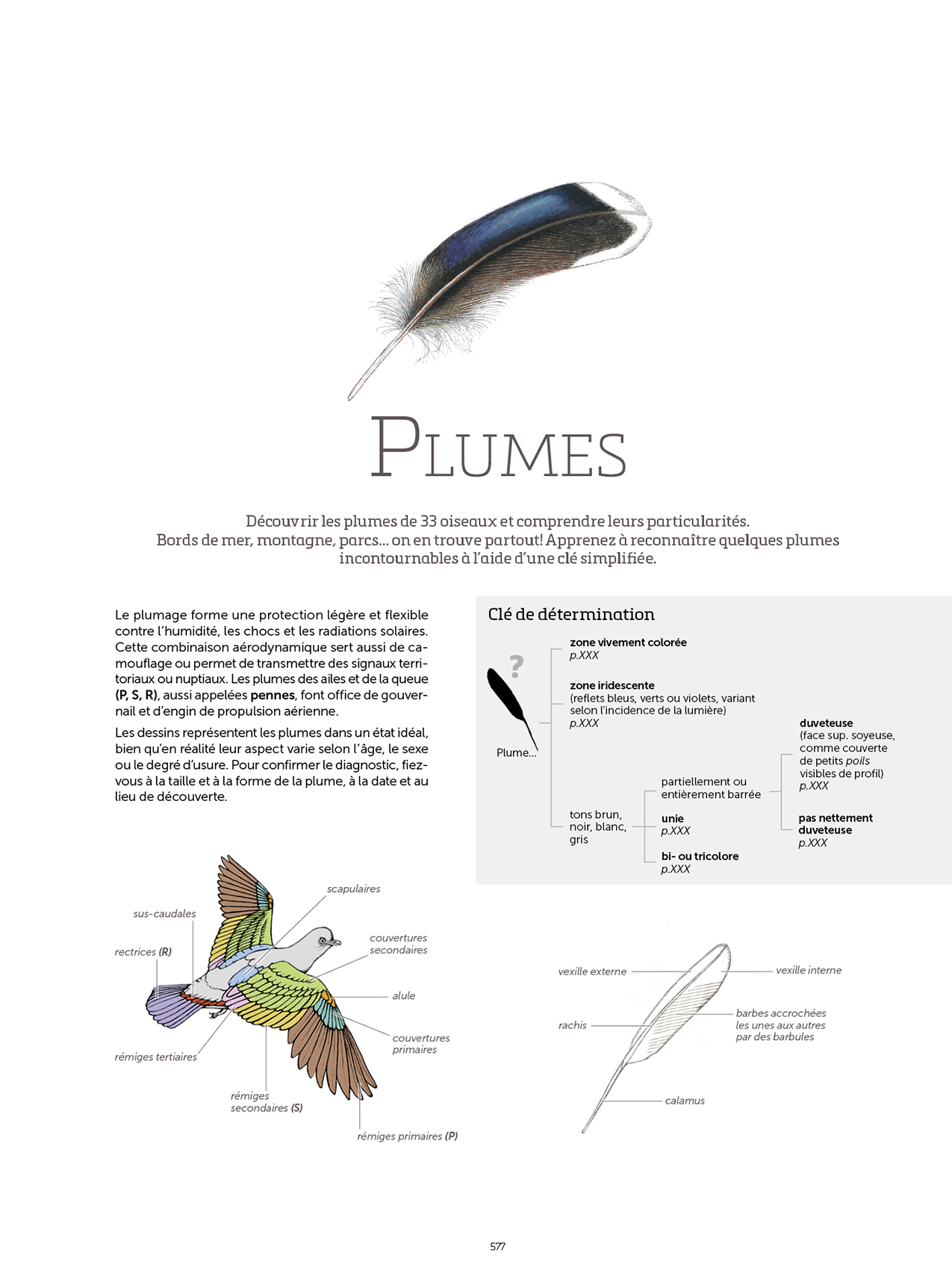 LE GRAND LIVRE DE LA NATURE 6