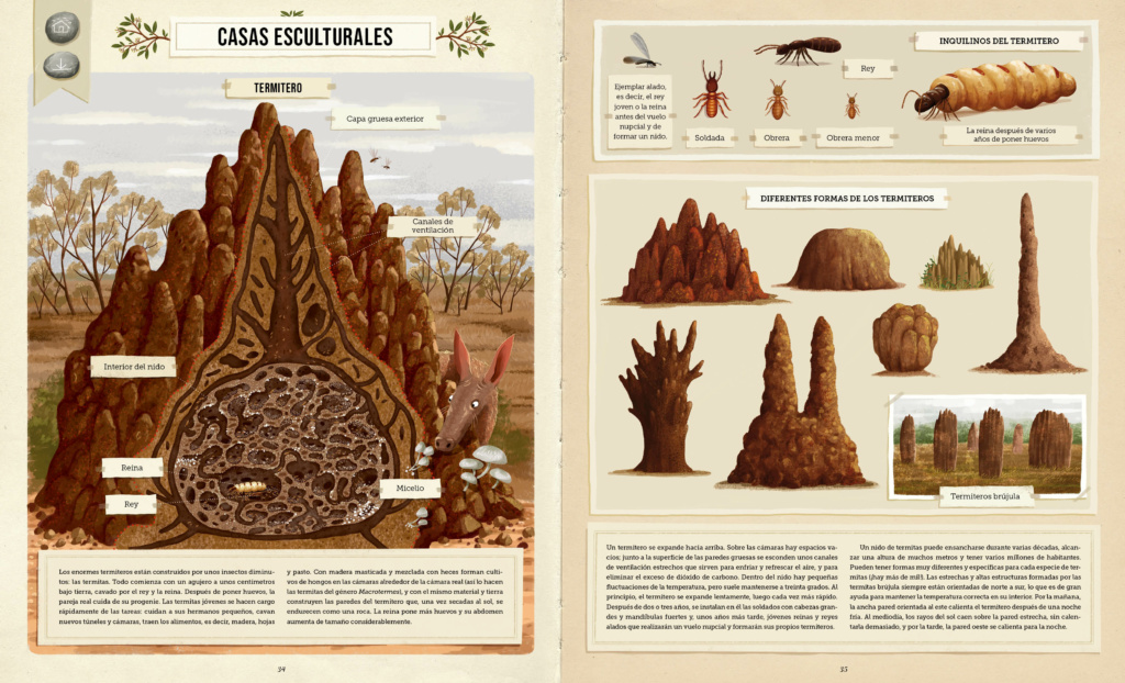 CONSTRUCCIONS ANIMALS 3